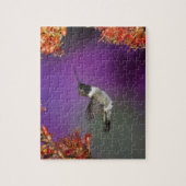 Zwarte eenhoevigen, Archilochus alexandri Legpuzzel (Verticaal)