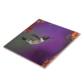 Zwarte eenhoevigen, Archilochus alexandri Tegeltje (Zijkant)