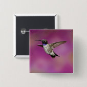 Zwarte eenhoevigen, Archilochus Vierkante Button 5,1 Cm (Voorkant /achterkant)