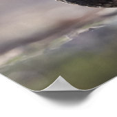 Zwarte eenhoevigen poster (Hoek)