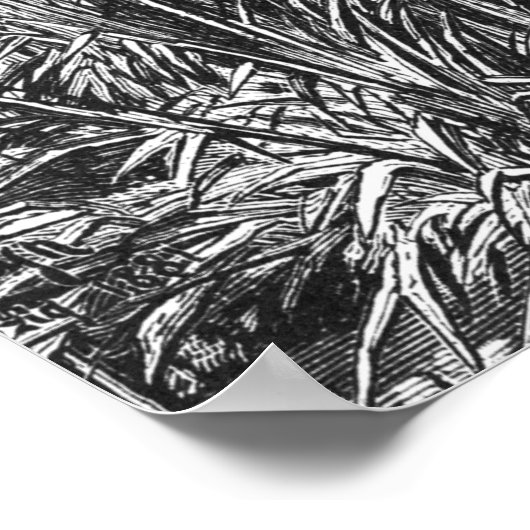  zwarte eikel poster (Hoek)