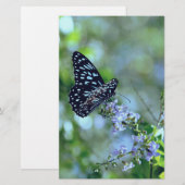 Zwarte en blauwe vlinder briefpapier (Voorkant / Achterkant)