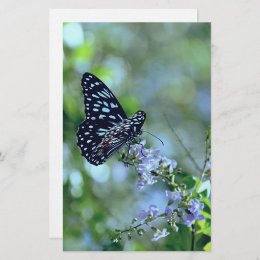 Zwarte en blauwe vlinder briefpapier (Voorkant / Achterkant)