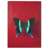 Zwarte en blauwe vlinder klembord (Achterkant)