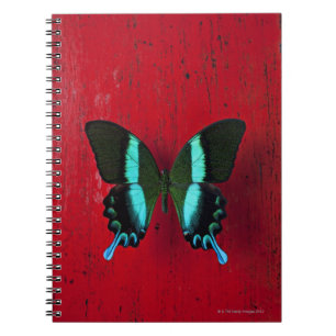 Zwarte en blauwe vlinder notitieboek