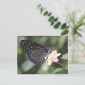 Zwarte en blauwe vlinder op bloem briefkaart (Staand voorkant)