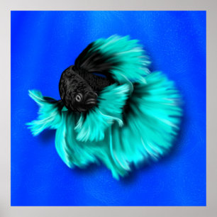 Zwarte en Blauwgroen bètavis Poster