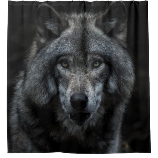 ZWARTE EN BROEIENDE WOLF-SCHIJVEN DOUCHEGORDIJN (Voorkant)