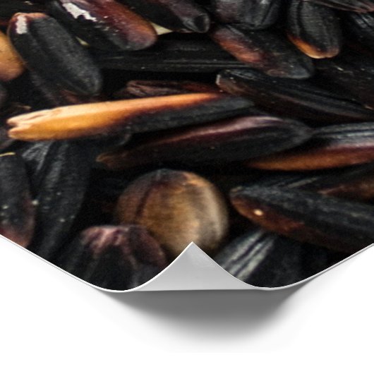 Zwarte en bruine bonen poster (Hoek)