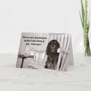 Zwarte En Bruine Cavalier King Charles Mist U Kaart