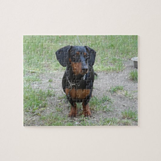 Zwarte en bruine Dachshund Legpuzzel (Horizontaal)