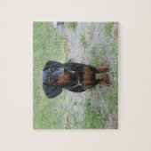 Zwarte en bruine Dachshund Legpuzzel (Verticaal)