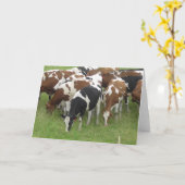 Zwarte en Bruine Zuivel Koeien Fotografie Kaart (Gele Bloem)