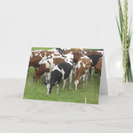 Zwarte en Bruine Zuivel Koeien Fotografie Kaart
