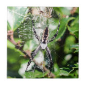 Zwarte en gele aardireep tegeltje (Voorkant)