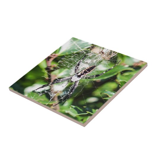 Zwarte en gele aardireep tegeltje (Zijkant)