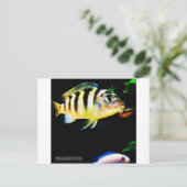 Zwarte en gele Afrikaanse koudvis Briefkaart (Staand voorkant)