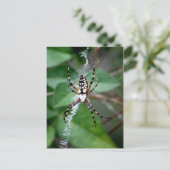 Zwarte en gele argiope briefkaart (Staand voorkant)