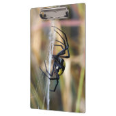 Zwarte en gele Argiope Garden Spider Klembord (Links)