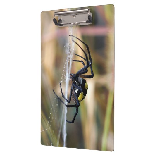 Zwarte en gele Argiope Garden Spider Klembord (Links)