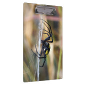 Zwarte en gele Argiope Garden Spider Klembord (Rechts)