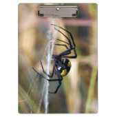 Zwarte en gele Argiope Garden Spider Klembord (Voorkant)
