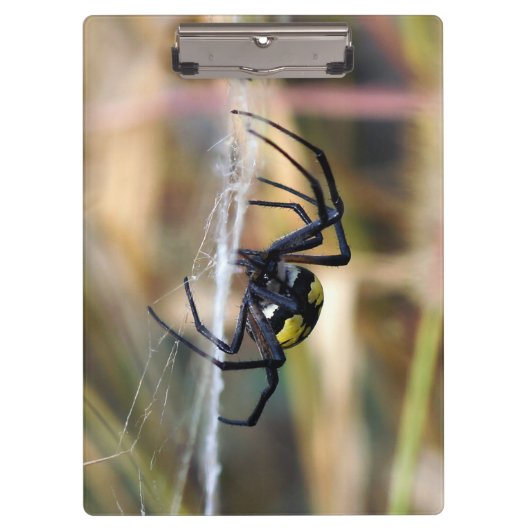Zwarte en gele Argiope Garden Spider Klembord (Voorkant)
