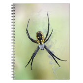 Zwarte en gele Argiope Garden Spider-laptop Notitieboek (Voorkant)