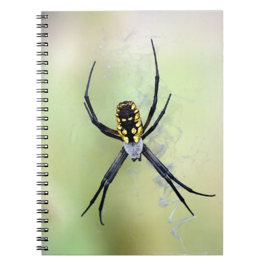 Zwarte en gele Argiope Garden Spider-laptop Notitieboek (Voorkant)