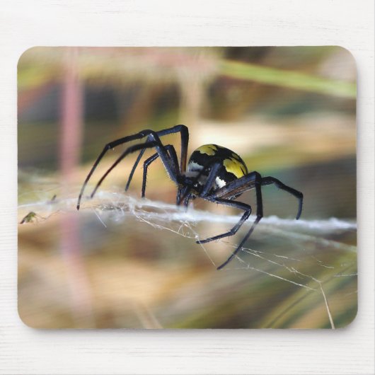 Zwarte en Gele Argiope Garden Spider Mousepad Muismat (Voorkant)