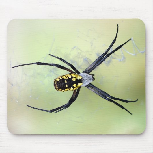 Zwarte en Gele Argiope Garden Spider Mousepad Muismat (Voorkant)