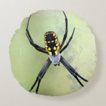 Zwarte en gele Argiope Garden Spider Round Pillow