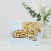 Zwarte en gele doorsnede 2 briefkaart (Staand voorkant)