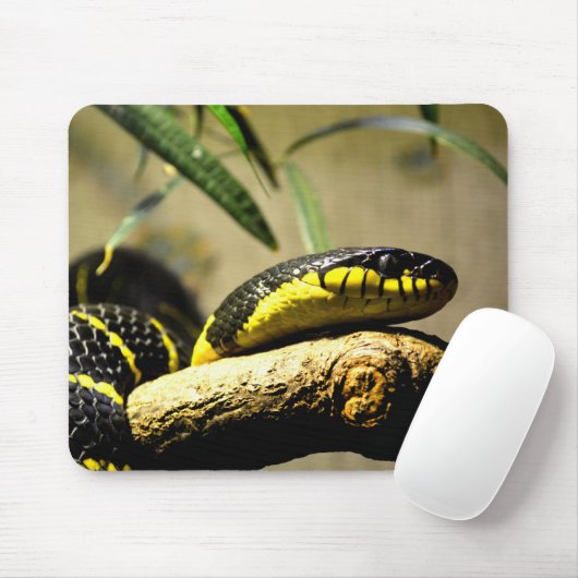 Zwarte en gele slang muismat (Met muis)