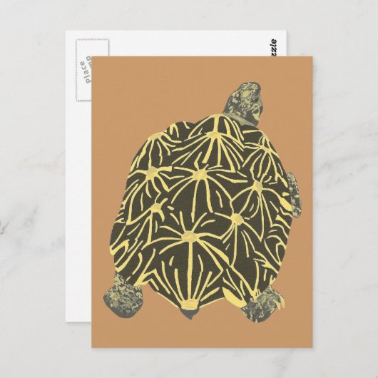 Zwarte en gele Star Tortoise, schilderende briefka Briefkaart (Voorkant / Achterkant)