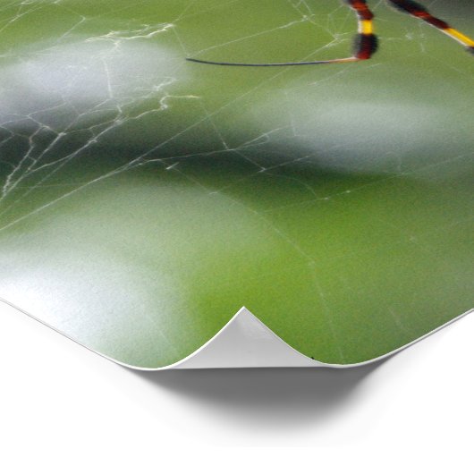 Zwarte en gele tuinspin poster (Hoek)