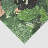 Zwarte en gele vlinder in de lente tissuepapier (Detail)