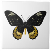 Zwarte en gele vlinder tegeltje (Voorkant)