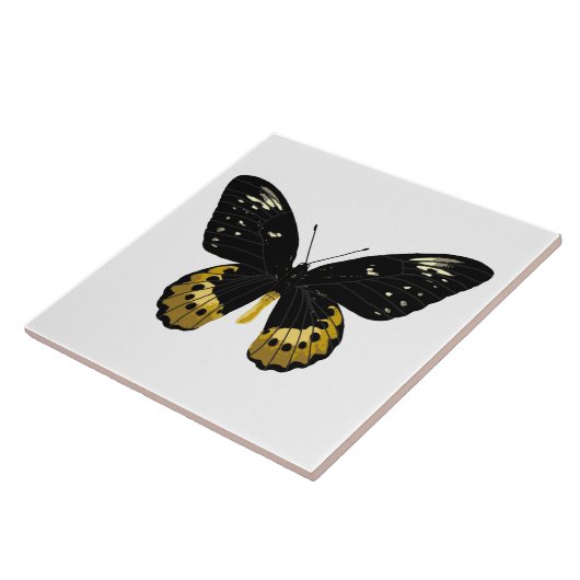 Zwarte en gele vlinder tegeltje (Zijkant)