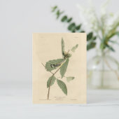 Zwarte en gele Warbler, Amerikaanse vogels van Aud Briefkaart (Staand voorkant)