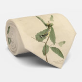 Zwarte en gele Warbler, Amerikaanse vogels van Aud Stropdas (Opgerold)