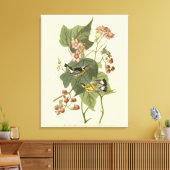 Zwarte en gele Warblers Amerikaanse vogels Canvas Afdruk (Insitu (Woonkamer))