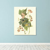 Zwarte en gele Warblers Amerikaanse vogels Canvas Afdruk (Insitu (Houten vloer))