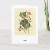 Zwarte en gele Warblers Amerikaanse vogels Kaart (Achterkant)