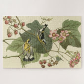 Zwarte en gele Warblers Amerikaanse vogels Legpuzzel (Horizontaal)