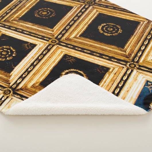 Zwarte en Gold-architectuur Sherpa Deken (3/4)