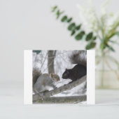 Zwarte en grijze eekhoorn briefkaart (Staand voorkant)