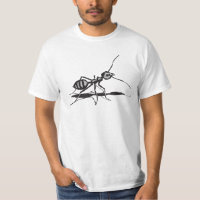 Zwarte en grijze insecten mier