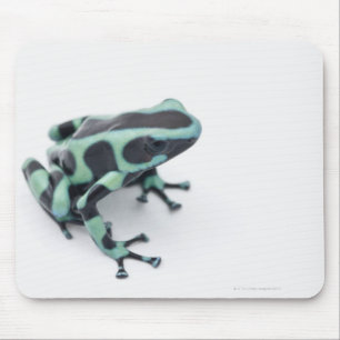 zwarte en groene gifkikker ( dendroba ) muismat
