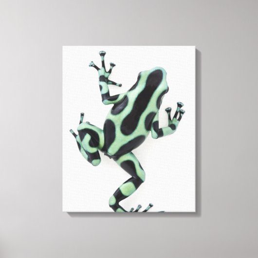Zwarte en groene giftige kunstkikker canvas afdruk (Voorkant)